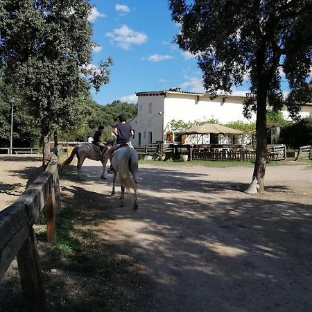 Casa Rural, Can Cirera Seriñá Eksteriør bilde