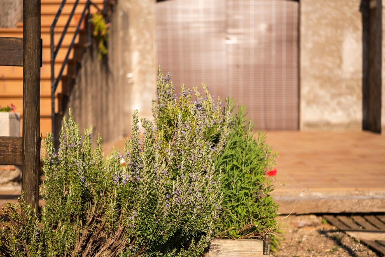 Casa Rural, Can Cirera Seriñá Eksteriør bilde