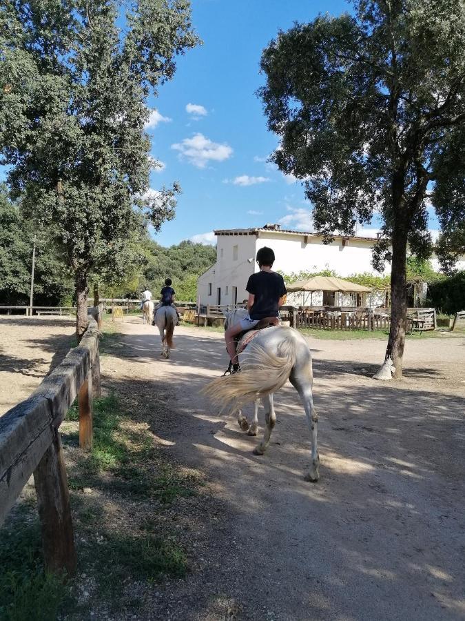 Casa Rural, Can Cirera Seriñá Eksteriør bilde